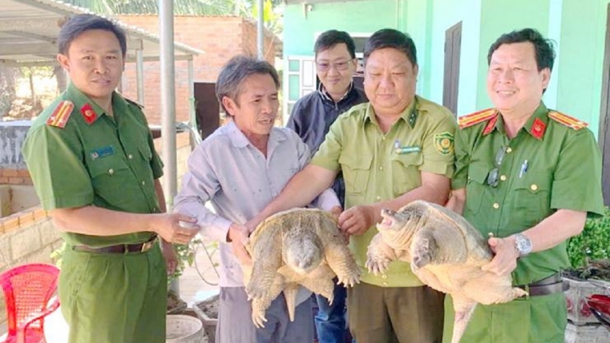 Một người dân Lâm Đồng giao nộp hai con rùa quý hiếm